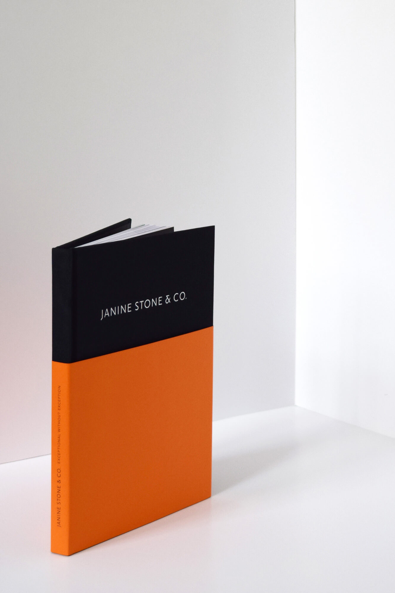 Exceptional Without Exception — Janine Stone & Co book