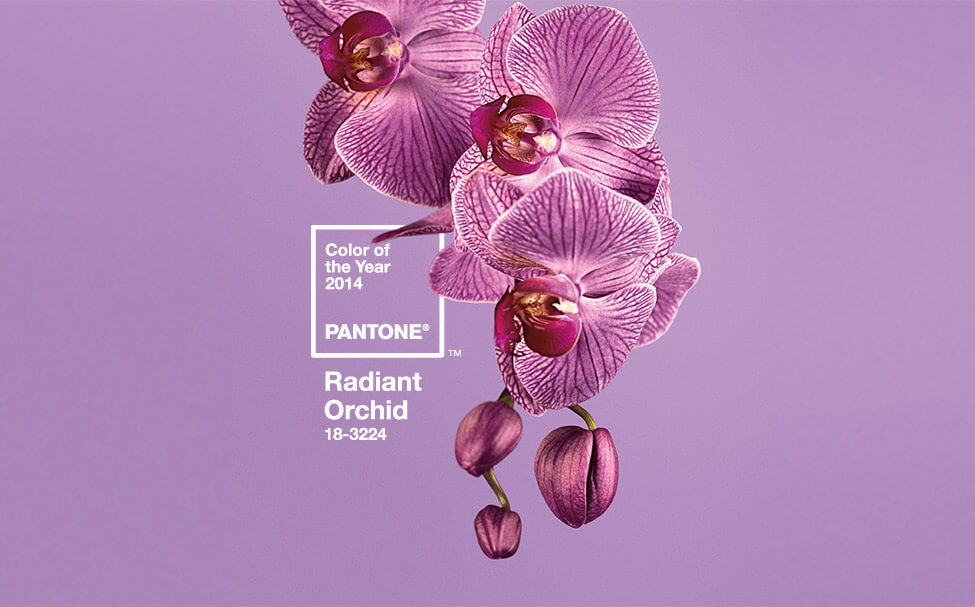 Pantone Colour of the Year for 2014