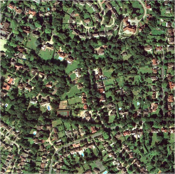 Understanding Easements: